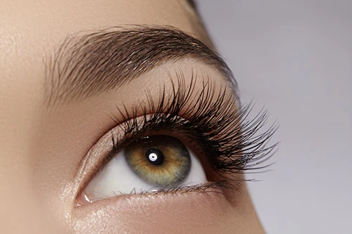 Eyelash
